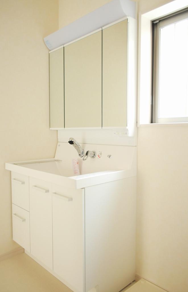 Wash basin, toilet. Wash basin (September 2013 shooting)