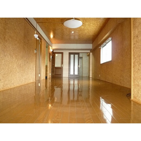 Living and room. Spacious LDK