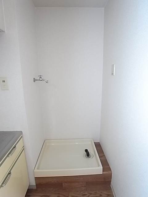 Toilet. Laundry Area