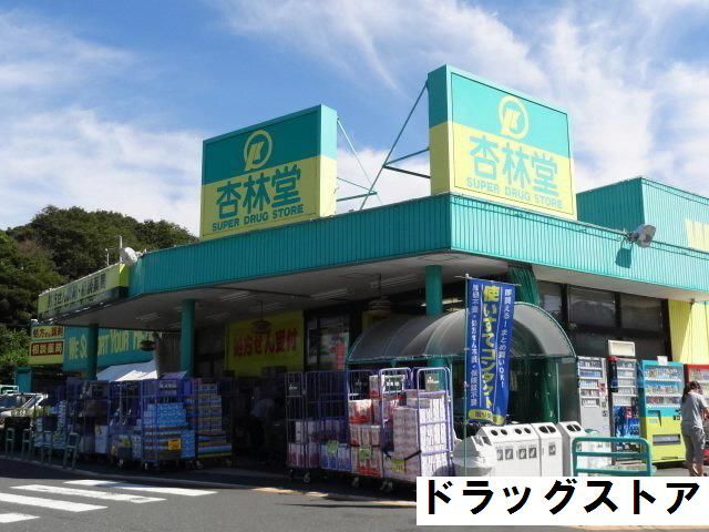 Dorakkusutoa. Kyorindo 980m until the pharmacy (drugstore)