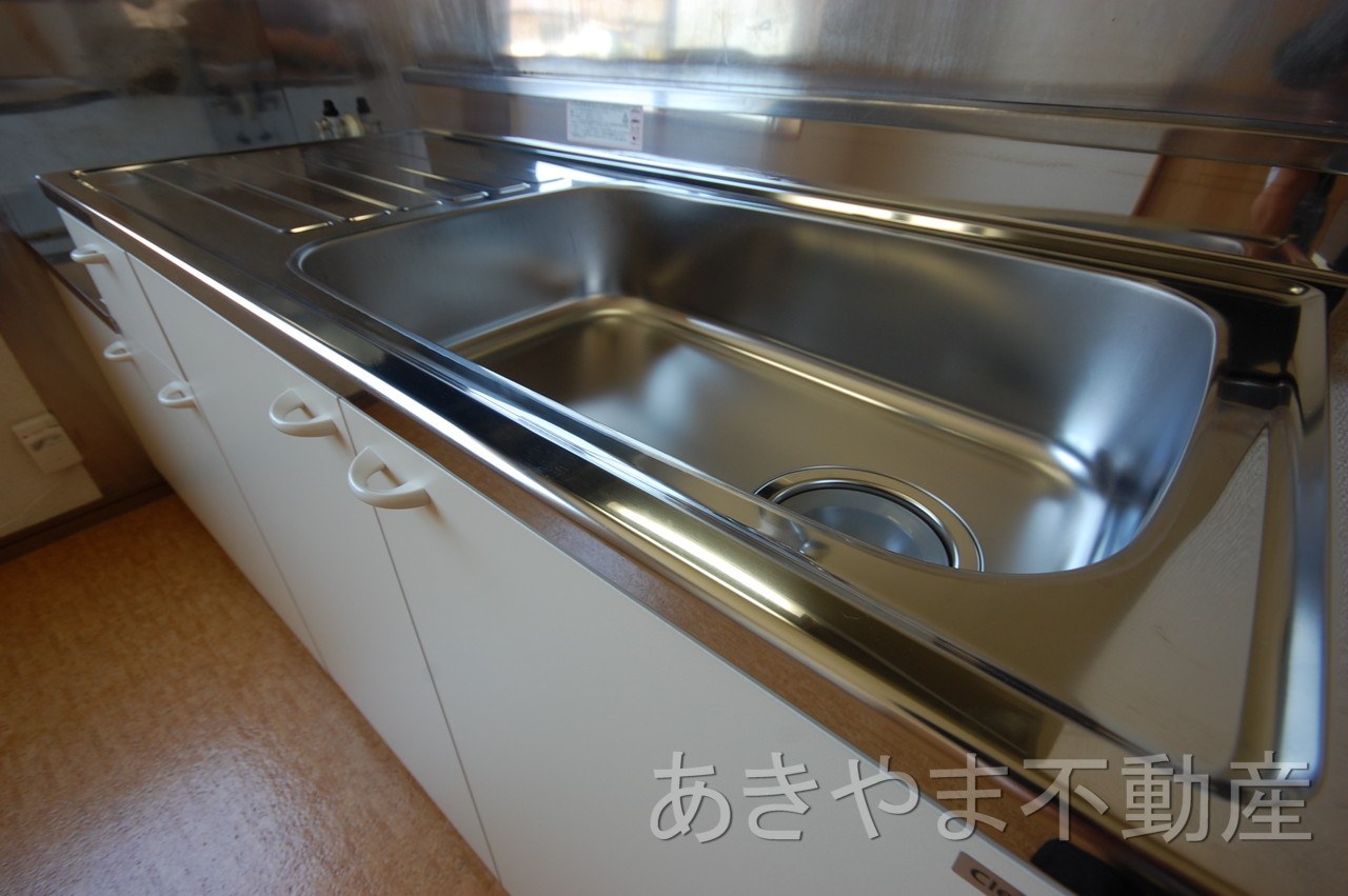 Kitchen. Sink new