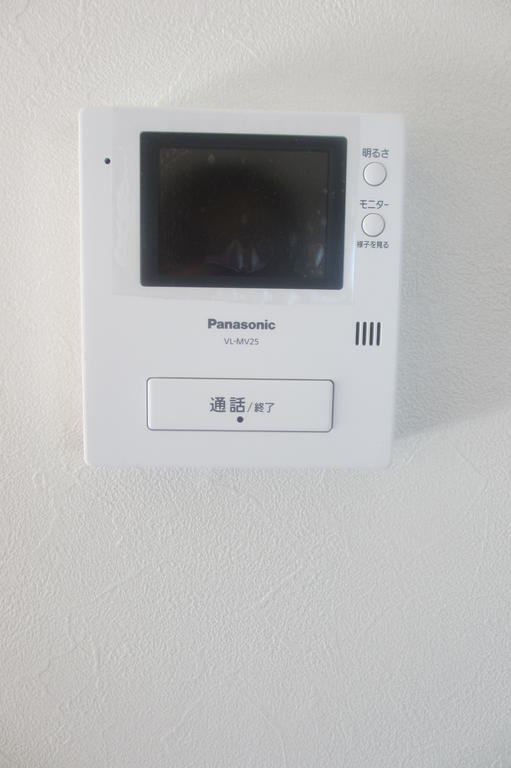 Security. Intercom with TV monitor