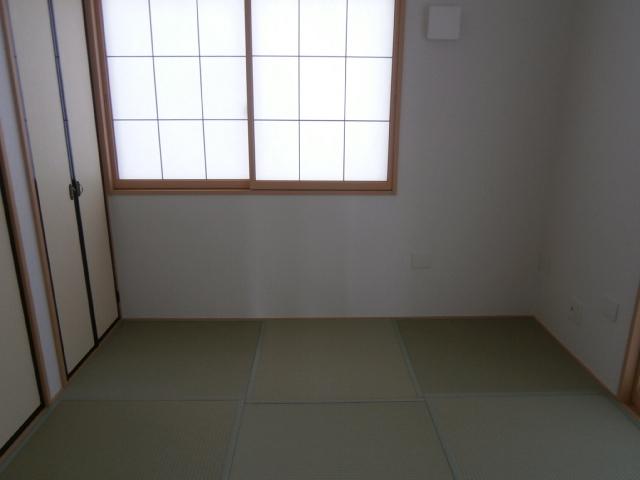 Other introspection. Indoor (12 May 2013) taking a Japanese-style room