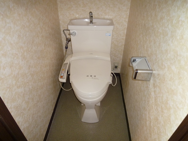 Toilet