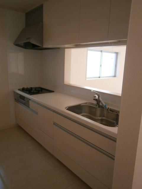 Kitchen. Indoor (12 May 2013) Shooting