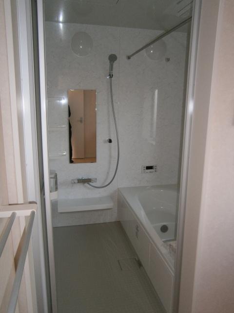 Bathroom. Indoor (12 May 2013) Shooting