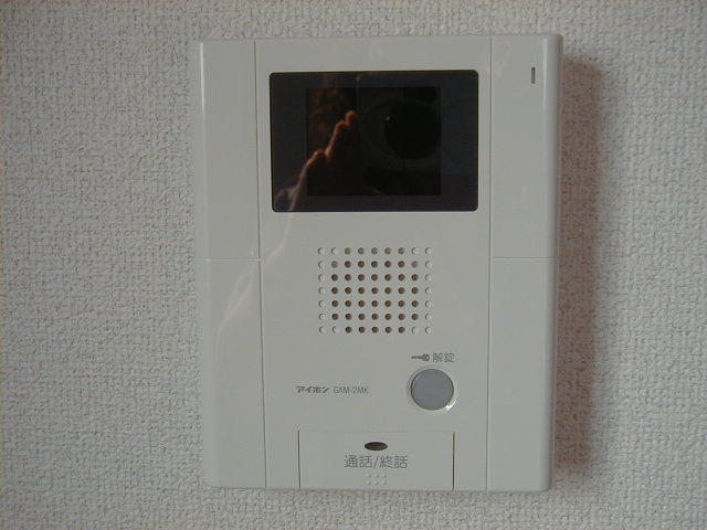 Security. TV monitor with intercom