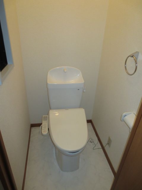 Toilet. Large capacity shoe box