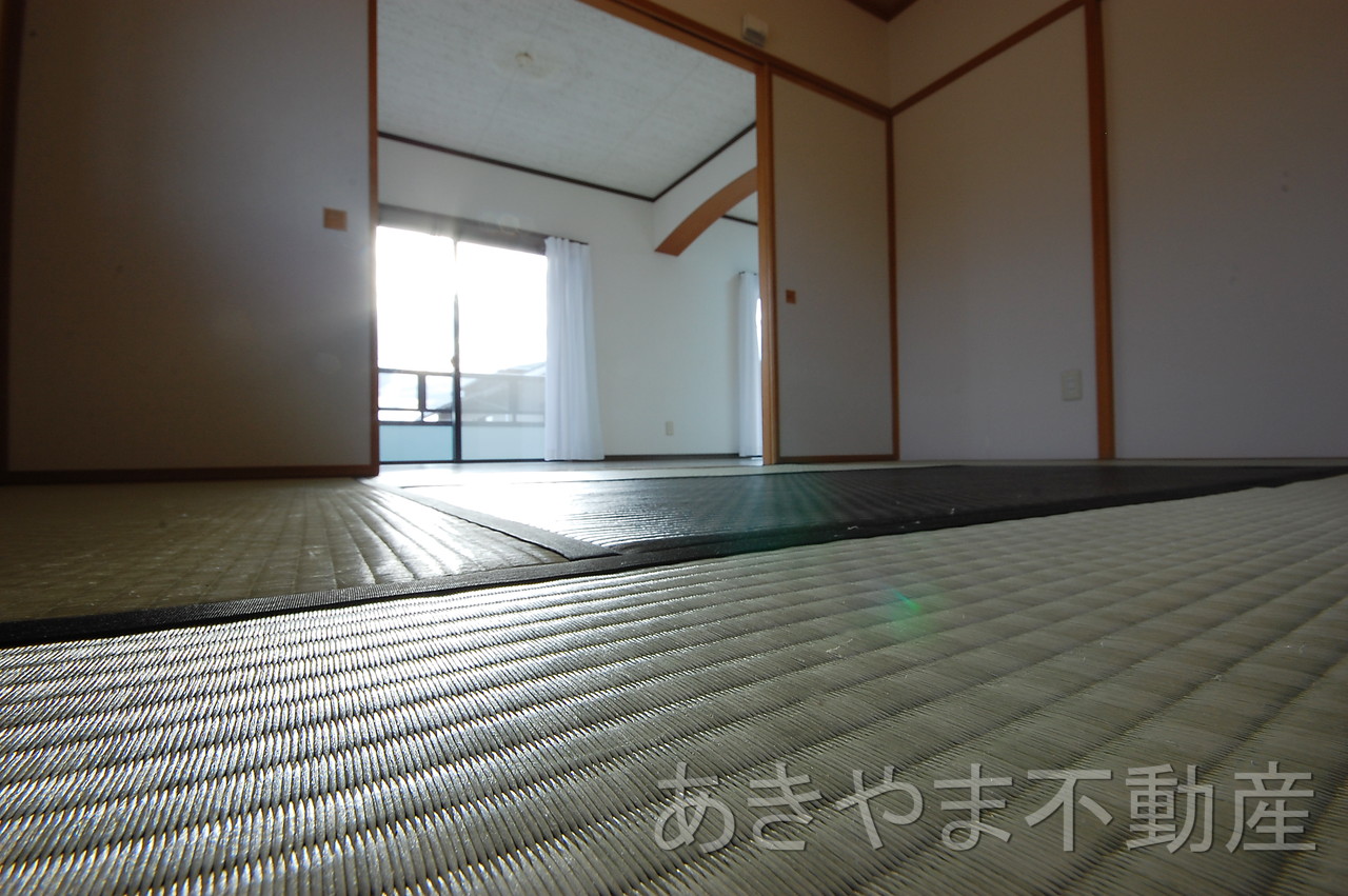 Living and room. Environment-friendly tatami use