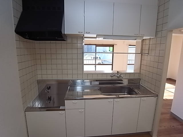 Kitchen. Kitchen brand new