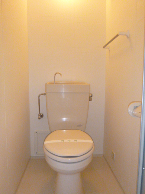 Toilet. It is very, very common western style toilet.