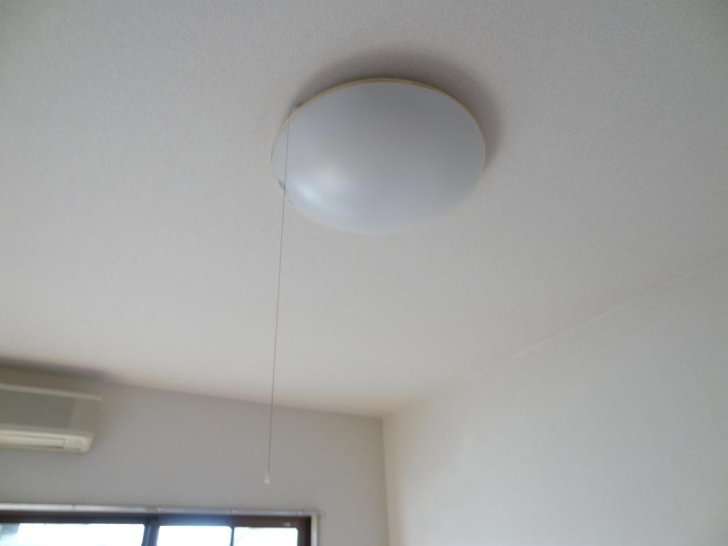 Living and room. With lighting