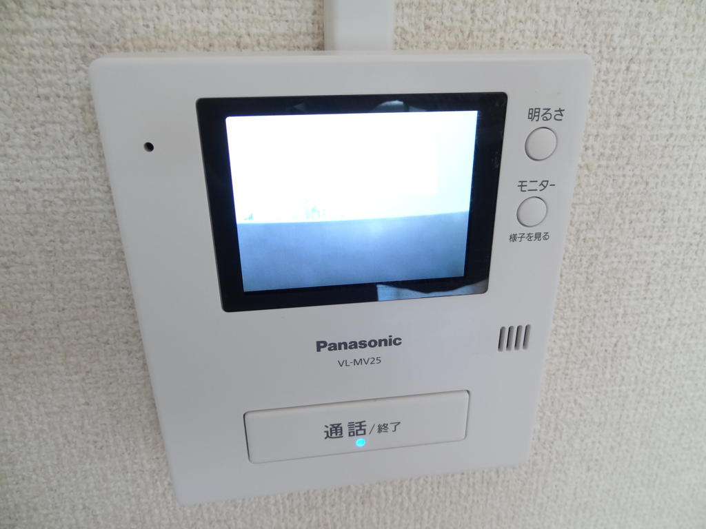 Security. TV intercom with