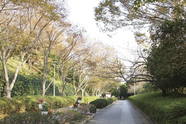 Surrounding environment. 106800 sq Hamamatsu Castle Park, which boasts the size of the m. There are a number of spot such as a central lawn and Japanese garden, Has been popular as Central Park in Hamamatsu (Hamamatsu Castle Park)