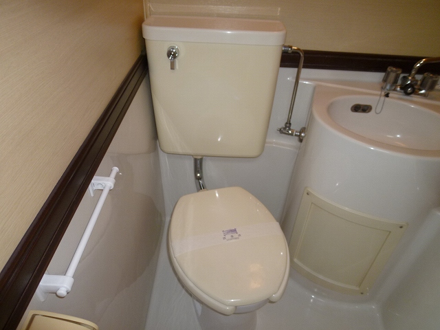 Toilet. Laundry Area