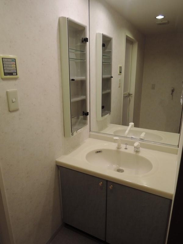 Wash basin, toilet. Vanity of a large mirror