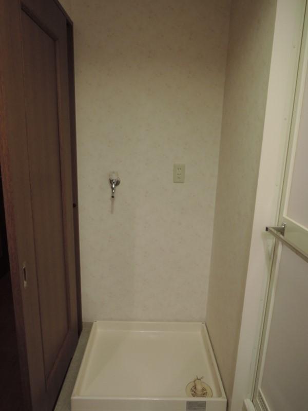 Other introspection. Washing machine Storage