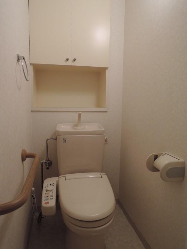 Toilet. Cleaning function toilet seat, Receipt, Display shelf