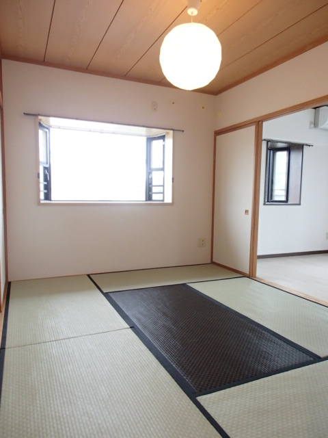 Other room space. Japanese style room