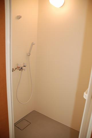 Other introspection. Second floor toilet next to the shower room