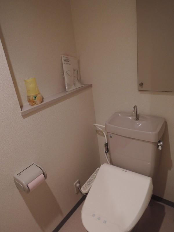 Toilet. Cleaning toilet seat, Rear storage rack, Side Kazaritana