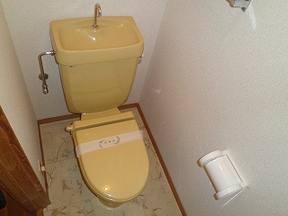 Toilet