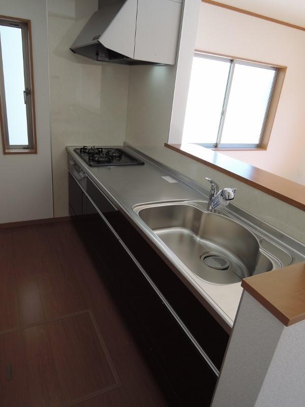 Kitchen. Face-to-face kitchen. Kitchen small window is popular! Water purifier with a shower faucet, Large range hood
