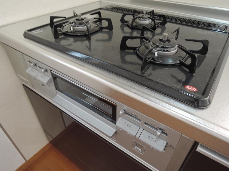 Kitchen. Built-in gas stove & grill