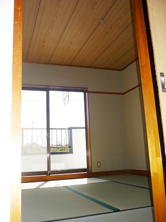Living and room. You Yes and tatami mat replacement!