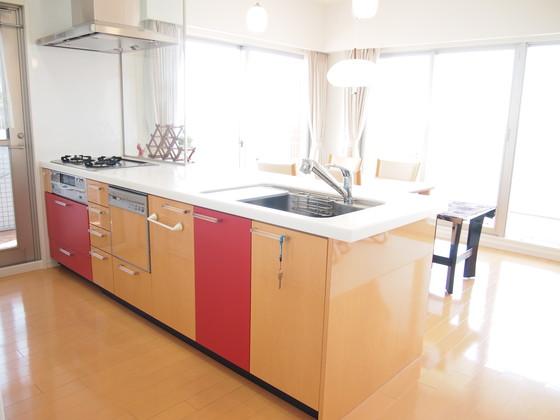 Kitchen. Stylish kitchen accent color