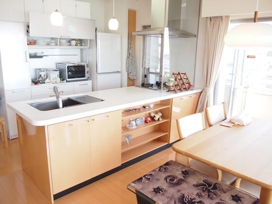 Kitchen. Kitchen back is ordered and storage