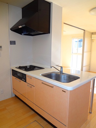 Kitchen. This face-to-face kitchen overlooking the room!