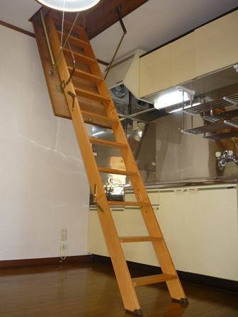 Other Equipment. I opened the kitchen ceiling of the lid a secret staircase!