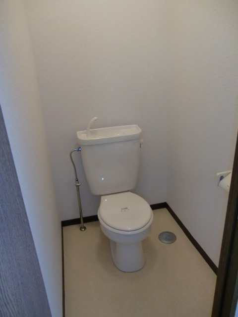 Toilet. Photo equivalent type