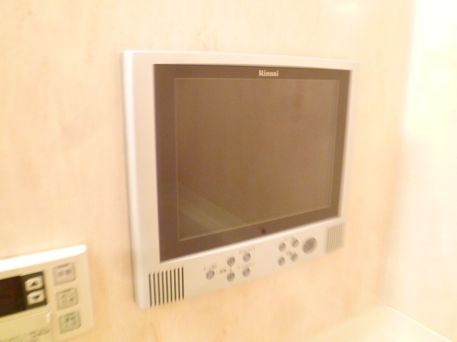 Other Equipment. Bathroom TV