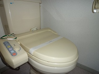 Toilet