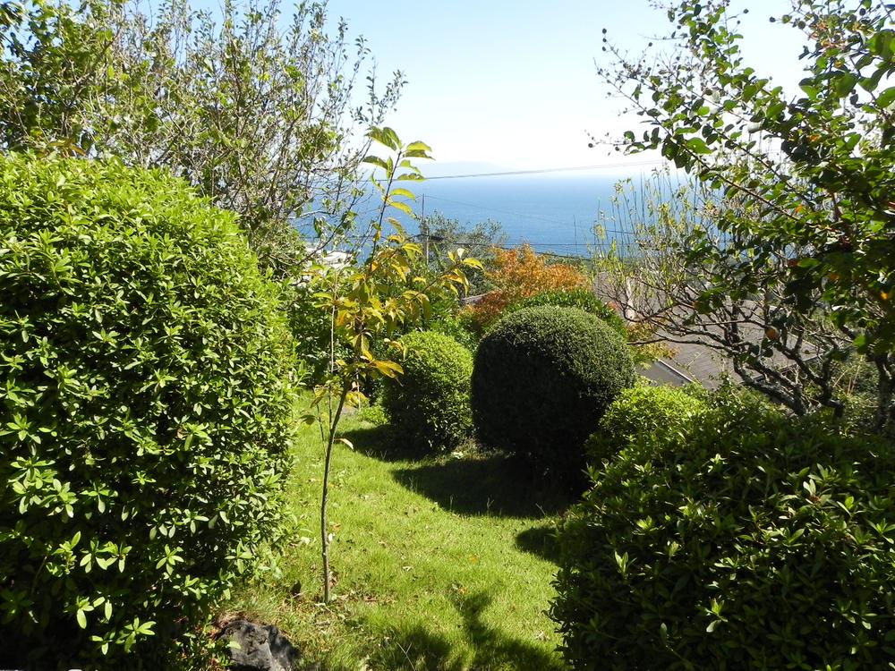 Garden. Overlooking the sea from the garden