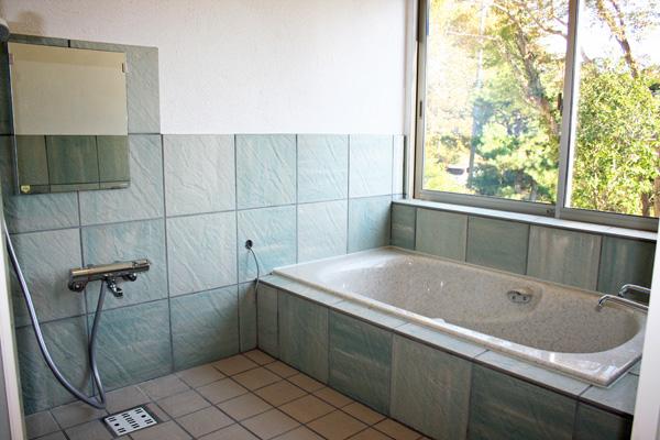 Bathroom. Bathroom with a hot spring