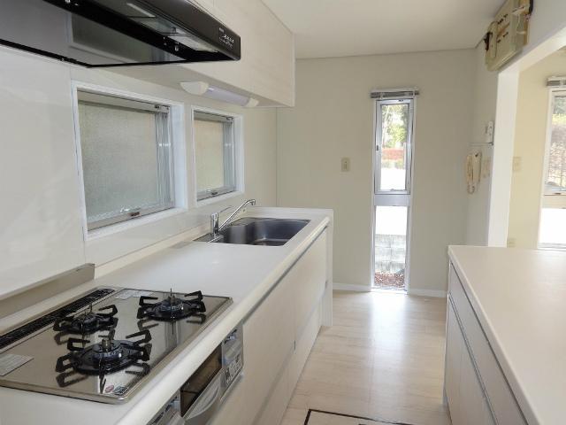 Kitchen. Interior