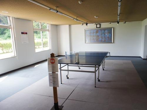 Other common areas. Ping-pong table