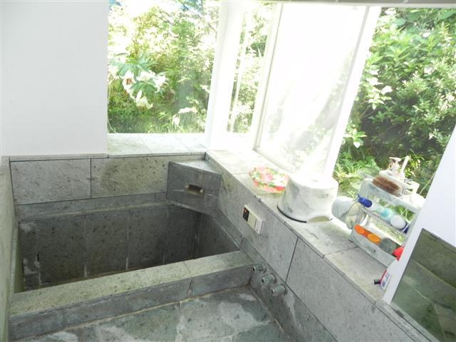 Bathroom. Guests can enjoy a hot spring in the bathtub of Izu stone