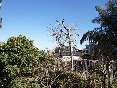 View photos from the dwelling unit