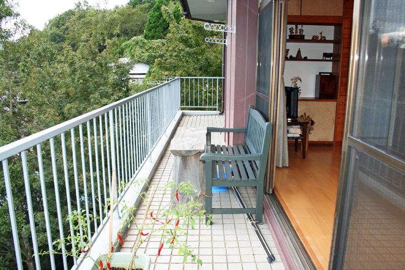 Balcony. South-facing second floor balcony of