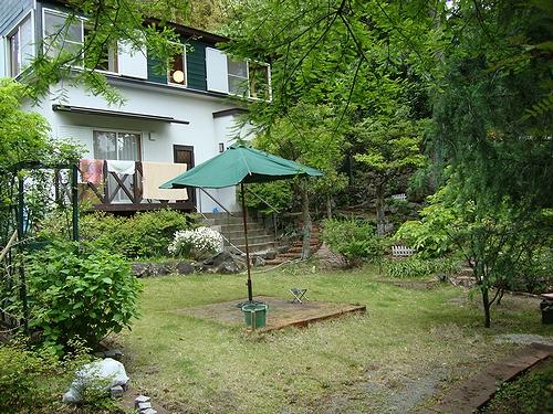 Garden. Flat garden surrounded by green trees