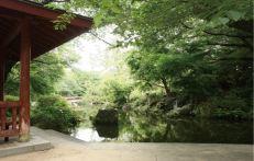 park. 851m to Azalea Park