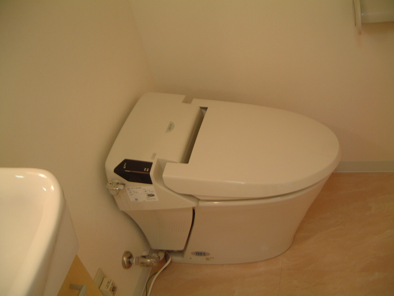 Toilet. Tankless shower toilet