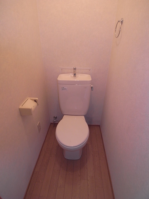 Toilet. The same type