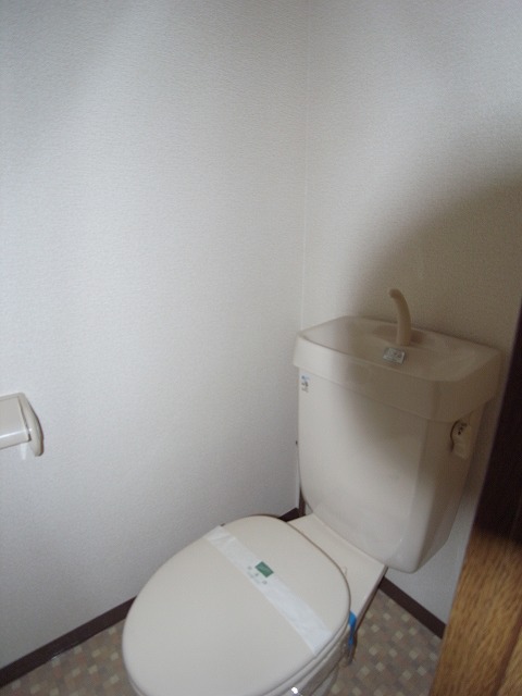 Toilet. The same type