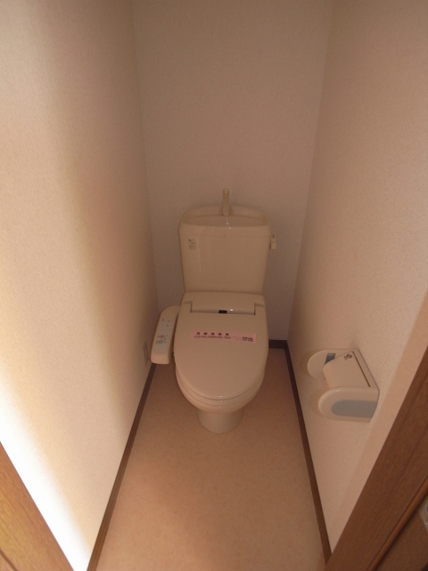 Toilet. The same type