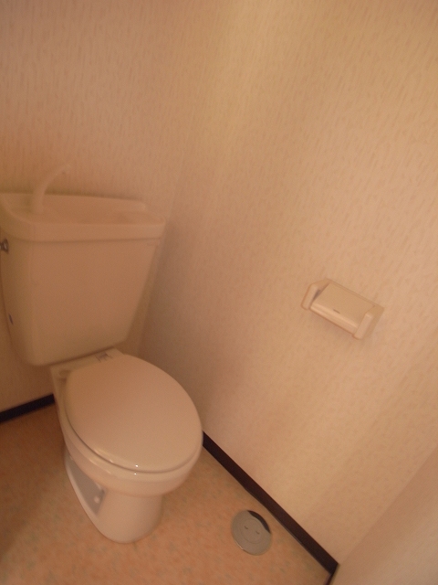 Toilet. The same type